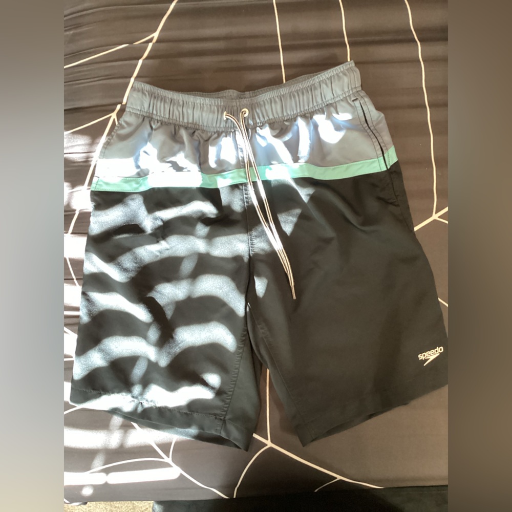 Speedo Swim Trunks